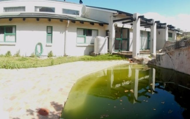 Bestandsgebäude mit Pool auf dem Grundstück des Neubauprojekts in Südafrika